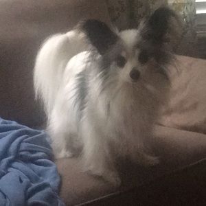 Meet your Posher, Ashlyn